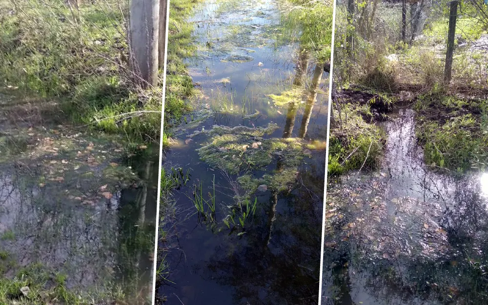 Agua estancada y criadero de mosquitos por falta de zanjeos en Matheu