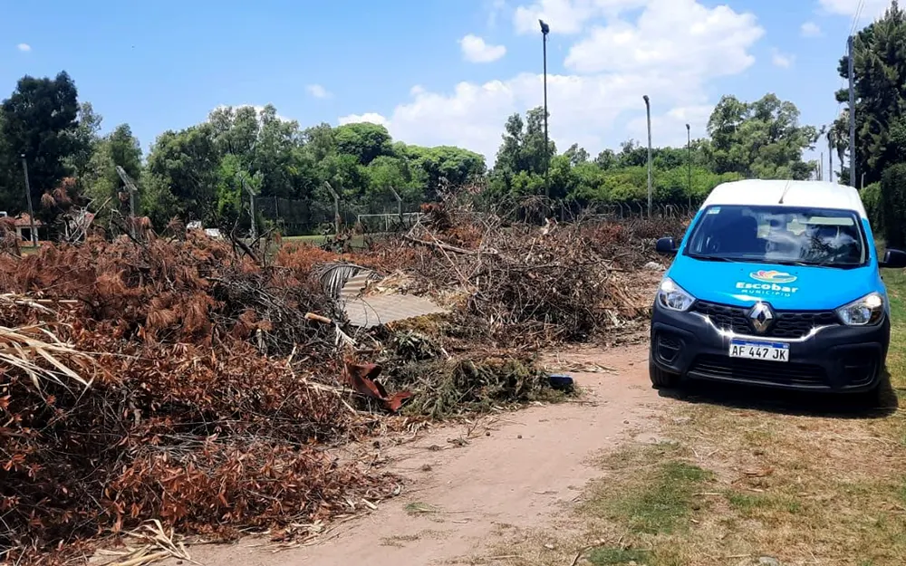 Aplican multas de hasta $4 millones por acumular ramas en la vía pública