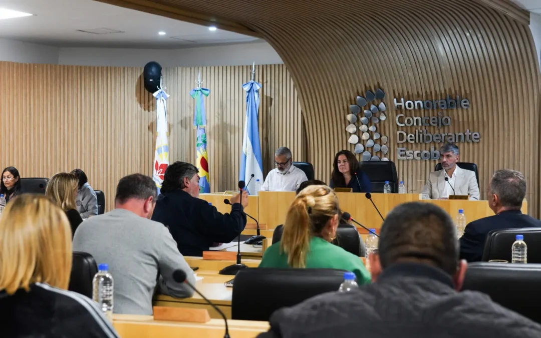 El Concejo Deliberante aprobó la creación del Observatorio de Política Criminal