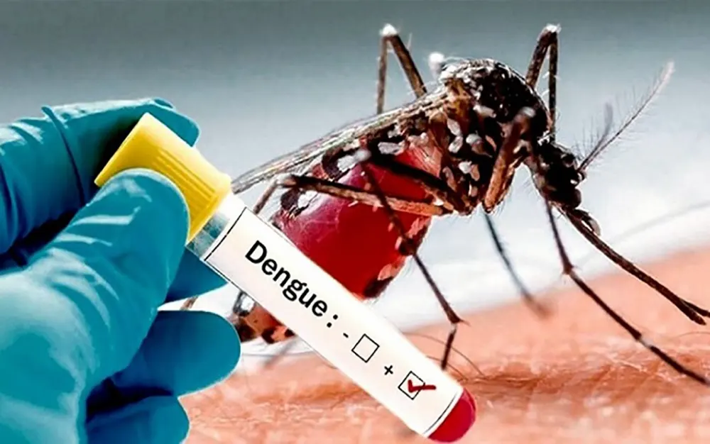 Dengue sin freno: el partido de Escobar ya está cerca de los 300 contagios
