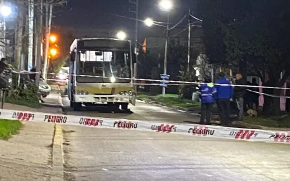 colectivo que atropelló al peatón
