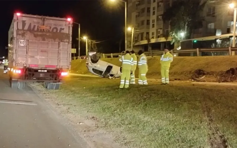 Vivo de milagro: conductor chocó a un caballo en la Panamericana y volcó