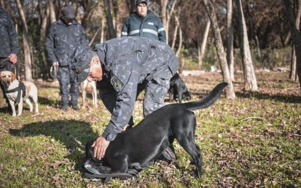 Desde Escobar al país: Cuál es el secreto del éxito de la División Canina