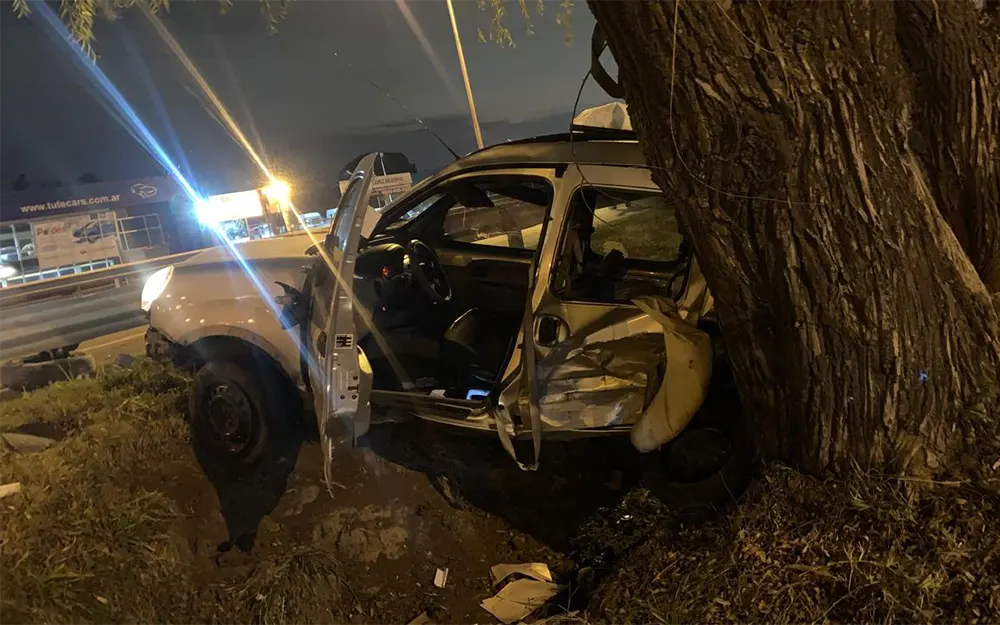 Lo chocaron de atrás en la autopista: terminó entre un árbol y el guardarraíl