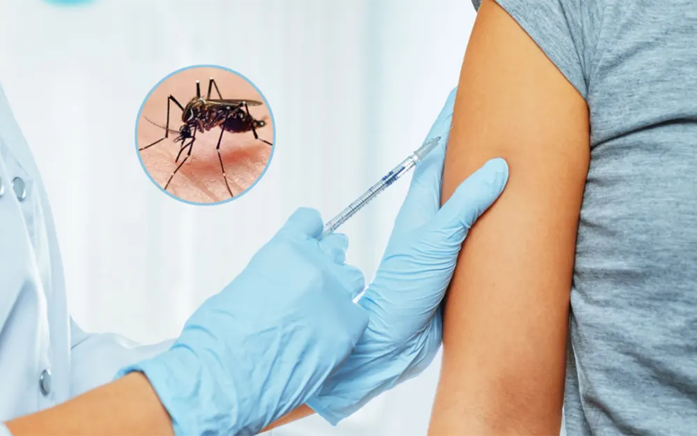 Dengue: cuáles son los requisitos para recibir la vacuna en Escobar